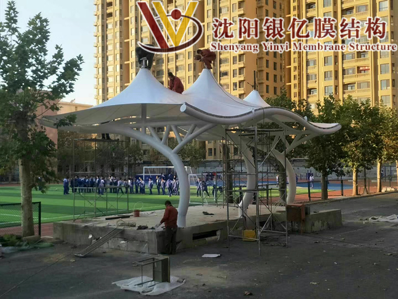 The podium membrane structure The podium membrane structure