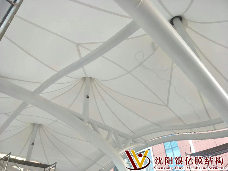 The podium membrane structure The podium membrane structure