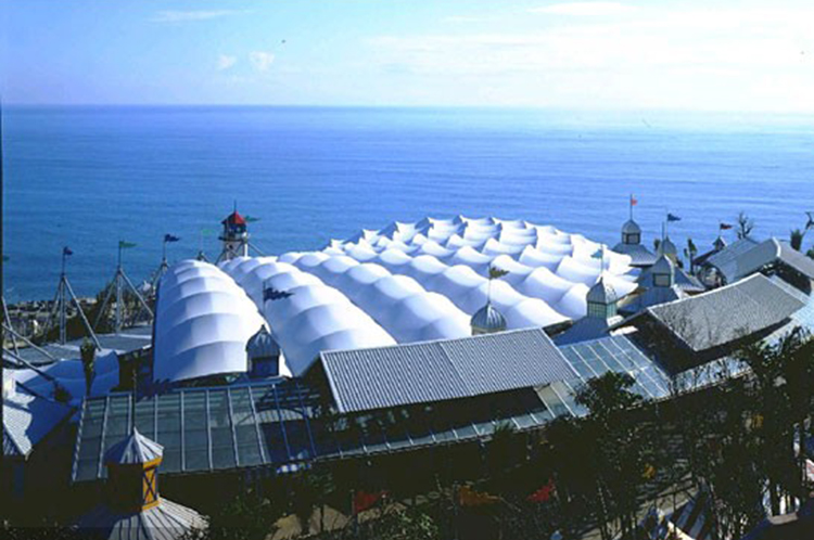 Membrane structure engineering