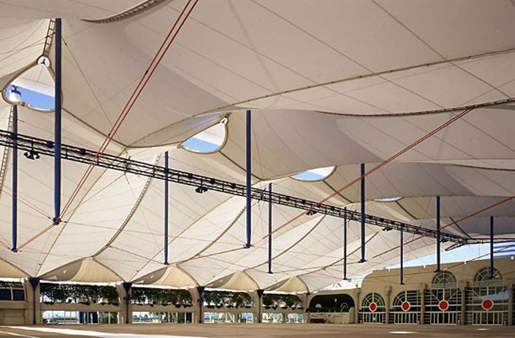 Membrane structure engineering