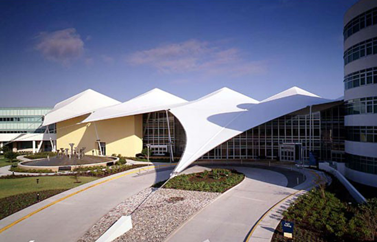 Membrane structure engineering