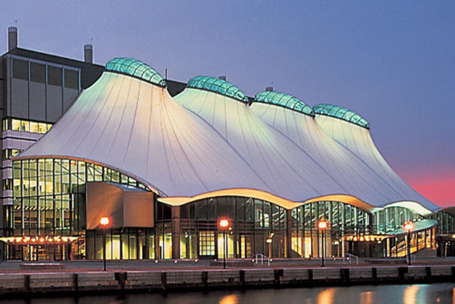 Sunshade canopy membrane structure