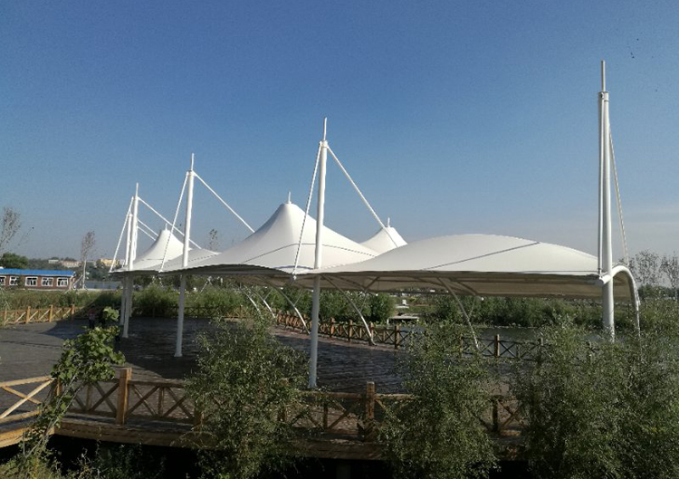 Sunshade canopy membrane structure Sunshade canopy membrane structure