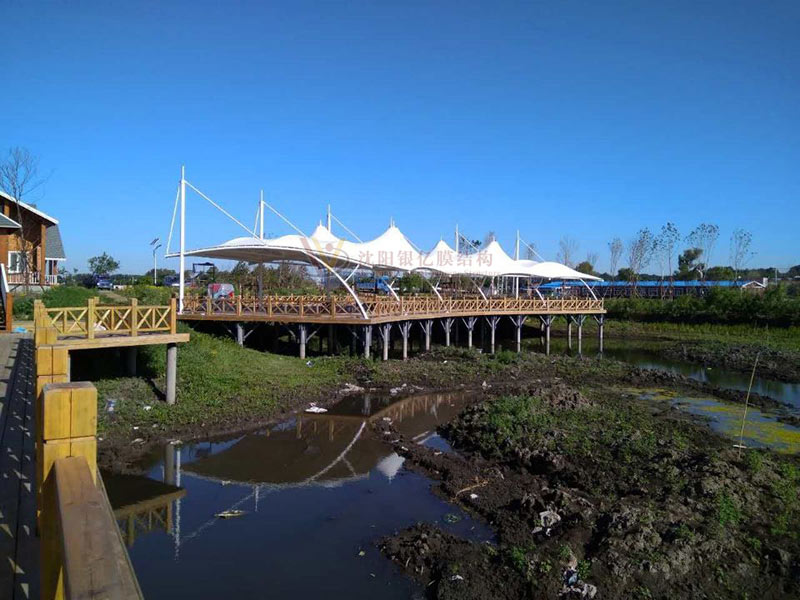 canopy covering membrane structure