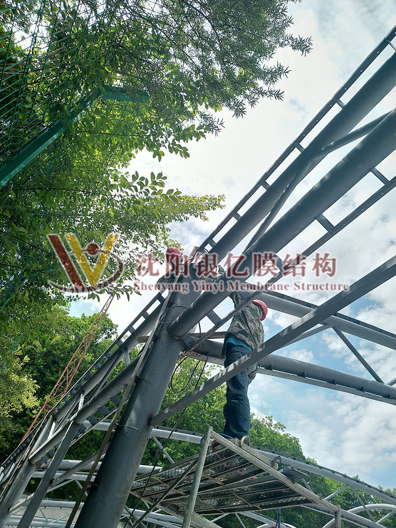 Sunshade canopy membrane structure